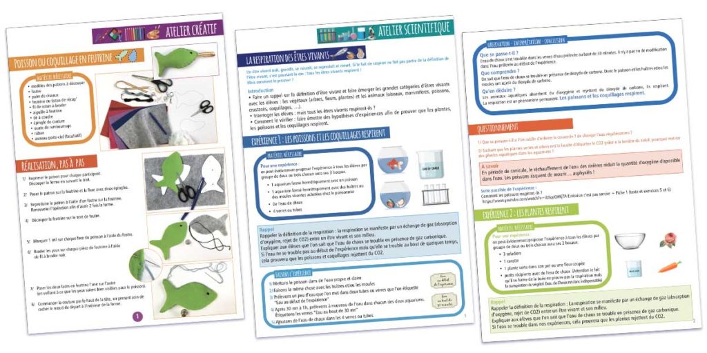 Fiches ateliers